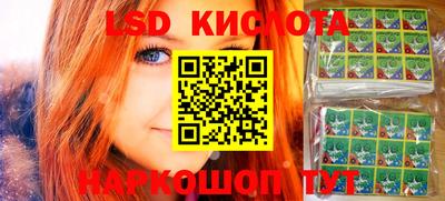 молекула духа Будённовск